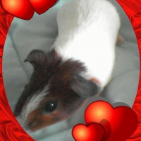 Photo de profil de Loulou