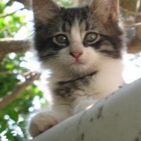 Photo de profil de Lilo