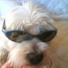 Photo de Tosca