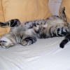 Photo de Junior