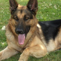 Photo de profil de Tucson
