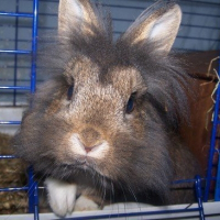 Photo de profil de Simbad