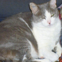 Photo de profil de Mounette