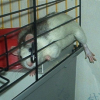 Photo de Kéro