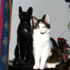 Photo de Leeloo