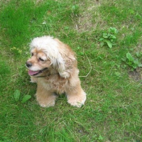 Photo de profil de Maya