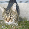 Photo de Poupoune