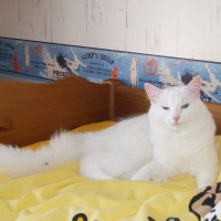 Photo de profil de Craspouille