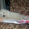 Photo de Mabelle