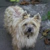 Photo de Vanille