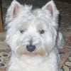 Photo de Alias