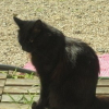 Photo de Batman