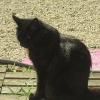 Photo de profil de Batman