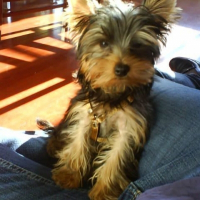 Photo de profil de Clicquot