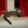 Photo de Pepa