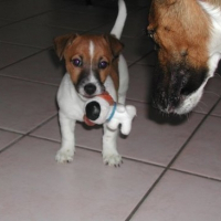 Photo de profil de Dimki