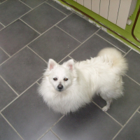 Photo de profil de Rocky