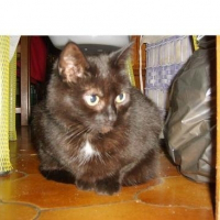 Photo de profil de Salem