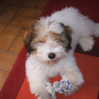 Photo de profil de Chelsy