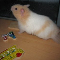 Photo de profil de Gaspard