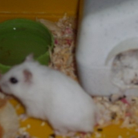 Photo de profil de Belle