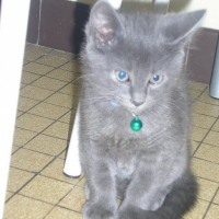 Photo de profil de Djéry