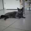 Photo de Caline