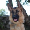 Photo de Dora