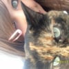 Photo de Tartinette