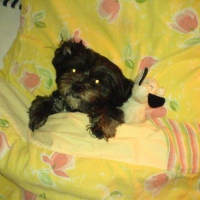 Photo de profil de Melody