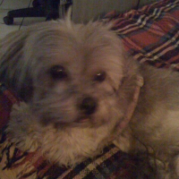Photo de profil de Snoopy