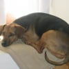 Photo de Vanda