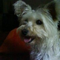 Photo de profil de Phyla
