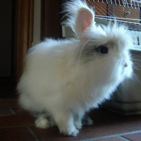 Photo de profil de Bouchon