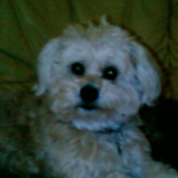 Photo de profil de Fify