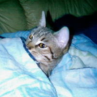 Photo de profil de Niizy