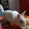Photo de Panpan