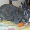 Photo de Lilou