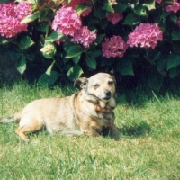 Photo de profil de Maya