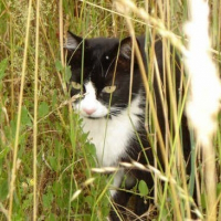 Photo de profil de Kenzo
