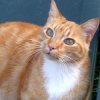 Photo de César