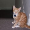 Photo de Rusty-bucket