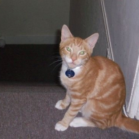 Photo de profil de Rusty-bucket