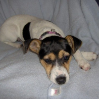 Photo de profil de Cleo