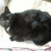 Photo de profil de Rose