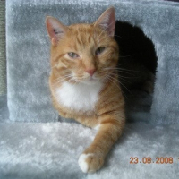 Photo de profil de Casimir