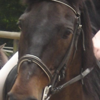 Photo de profil de épanac