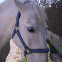Photo de profil de Vaurien de psalmodi