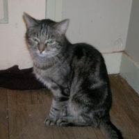 Photo de profil de Sacha