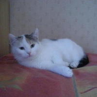 Photo de profil de Blanche